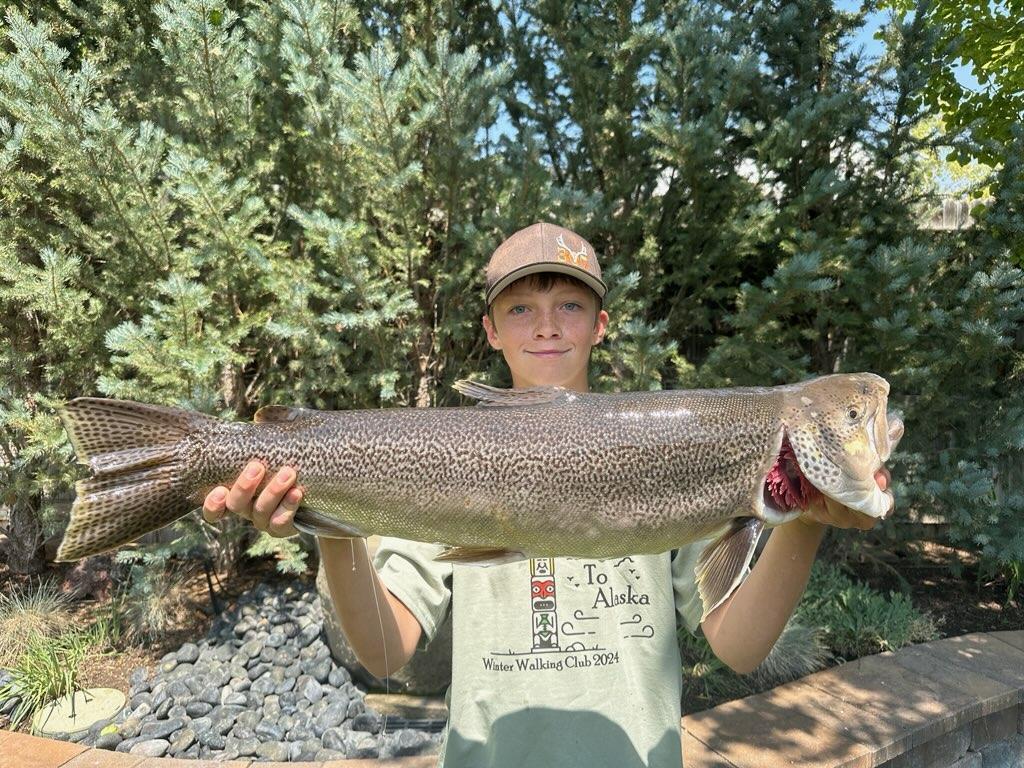 Tiger trout state record