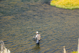 Fly angler wading in river