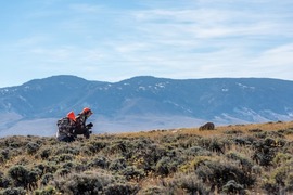 Hunters hike through brush