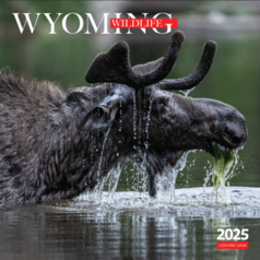 2025 Wyoming Wildlife calendar cover