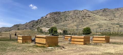 Compost bins at Sybille research center