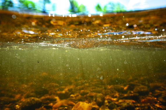 Unseen scene cover photo - underwater photo of rover bottom