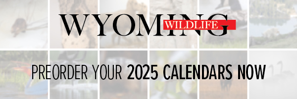 Preorder your 2025 Wyoming Wildlife calendar