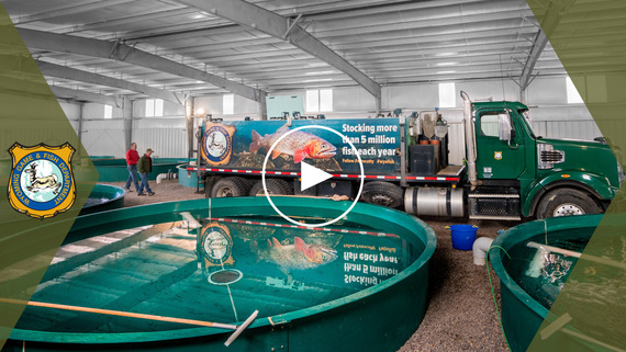 Dan Speas fish hatchery virtual tour