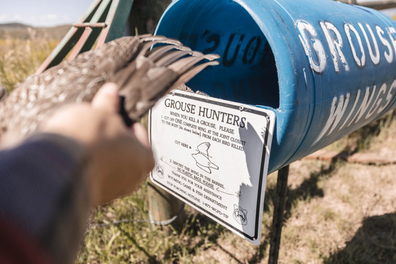 Sage-grouse wing barrels