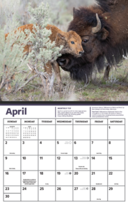 Calendar spread May 2022