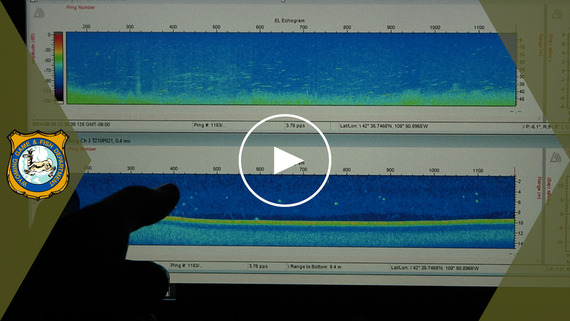 Louis Lake Sampling