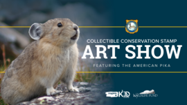 2026 Collectible Conservation Stamp Art Show