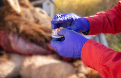 CWD found in new hunt area