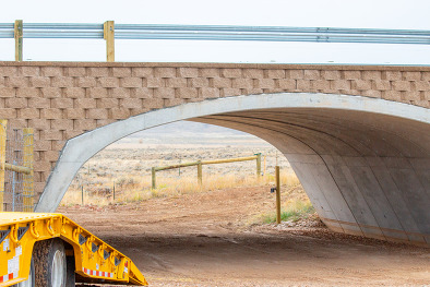 Dry Piney wildlife crossing