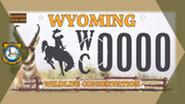 New Wyoming Conservation License Plates YouTube video