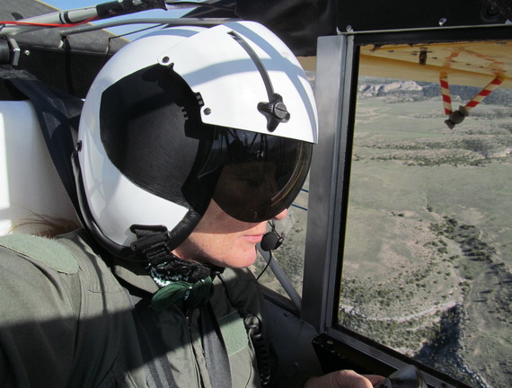 Counting nature from a helicopter