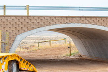 Wildlife underpass