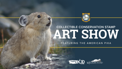 2026 Collectible Conservation Stamp Art Contest