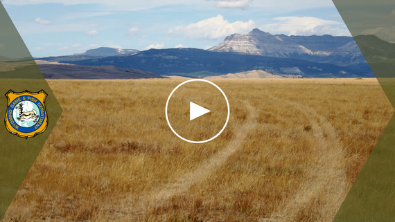 Off-road use YouTube video link