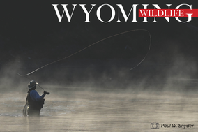 Wyoming Wildlife annual photo contest