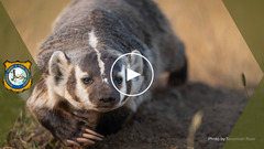 Thumbnail for Youtube Video