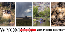 Logo for Wyoming Wildlife photo contest