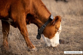 Northeast Wyoming Virtual Fence Symposium