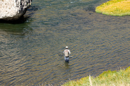 Fly fishing Wyoming