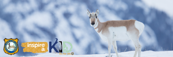 Inspire a Kid — Winter 2026