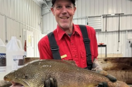 Story Hatchery end of year update