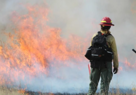 BLM Firefighter at prescribed burn