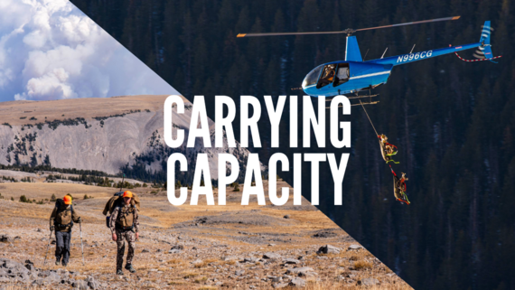 Carrying Capacity Thumb